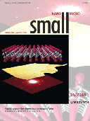 small nano 24